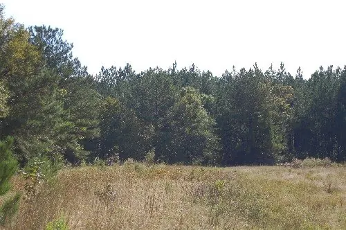 Byrd Family Trust — listing photo 12