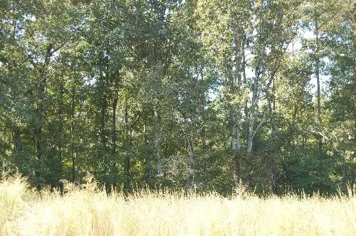 Byrd Family Trust — listing photo 14