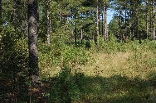 Byrd Family Trust — listing photo 16
