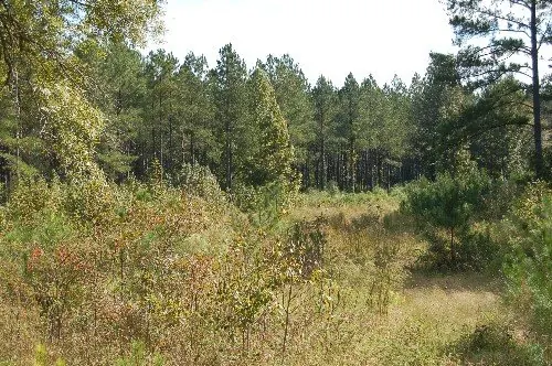 Byrd Family Trust — listing photo 19