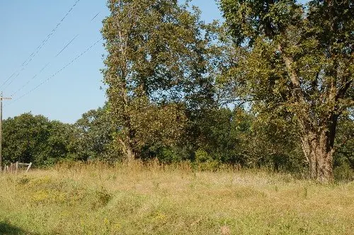 Byrd Family Trust — listing photo 2