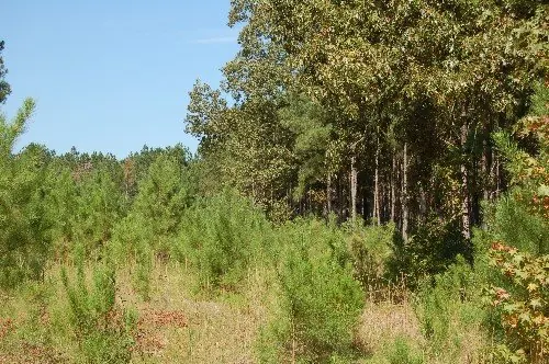 Byrd Family Trust — listing photo 20