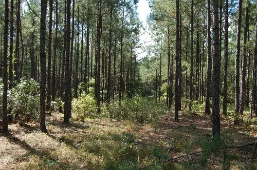 Byrd Family Trust — listing photo 24