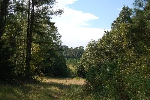 Byrd Family Trust — listing photo 25