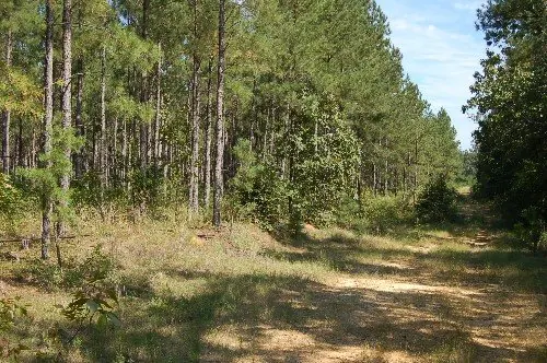 Byrd Family Trust — listing photo 28