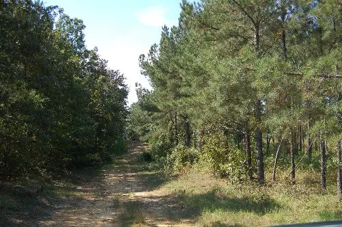 Byrd Family Trust — listing photo 29