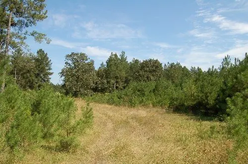 Byrd Family Trust — listing photo 30