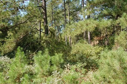 Byrd Family Trust — listing photo 31