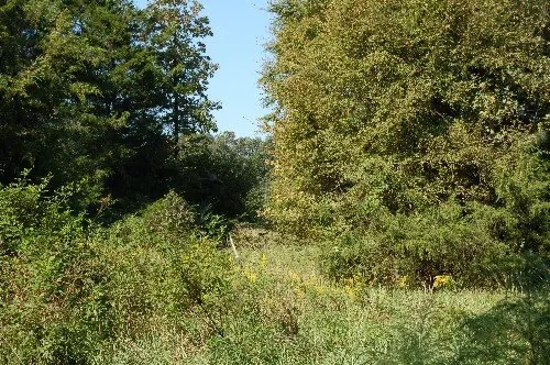 Byrd Family Trust — listing photo 4