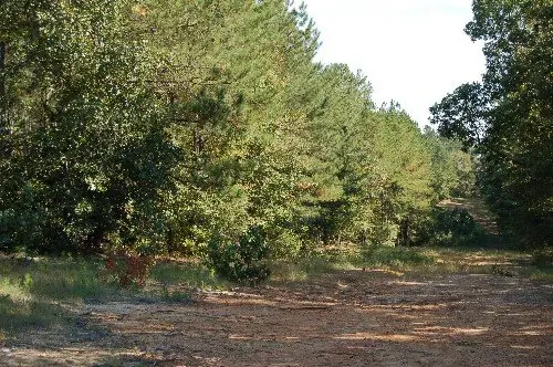 Byrd Family Trust — listing photo 5