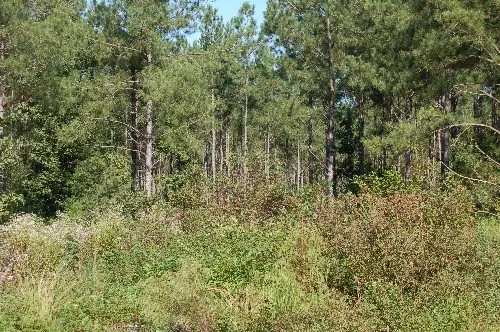 Byrd Family Trust — listing photo 6