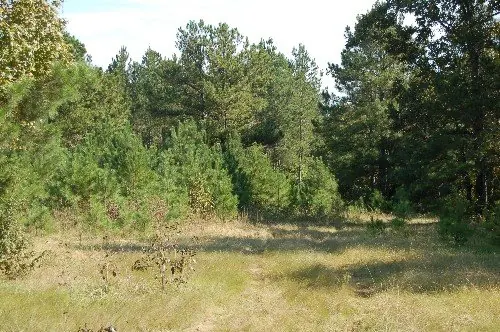 Byrd Family Trust — listing photo 9