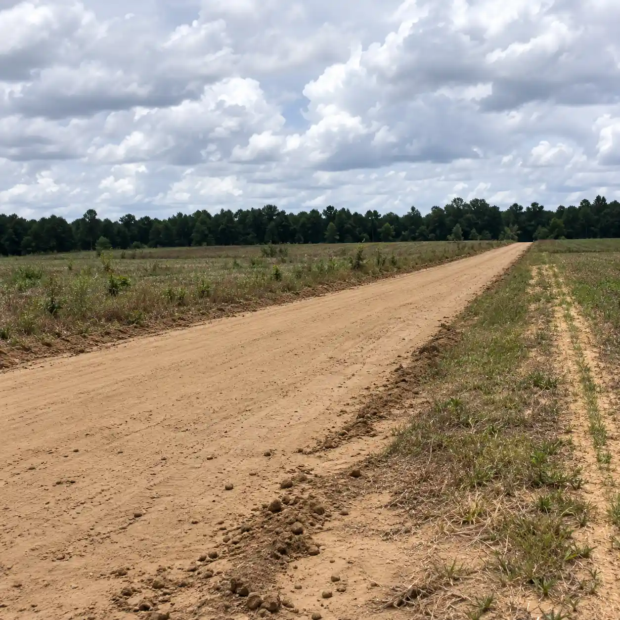 Haw Land — Bamberg County