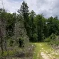 Haw Land — listing photo 12