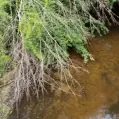 Haw Land — listing photo 8